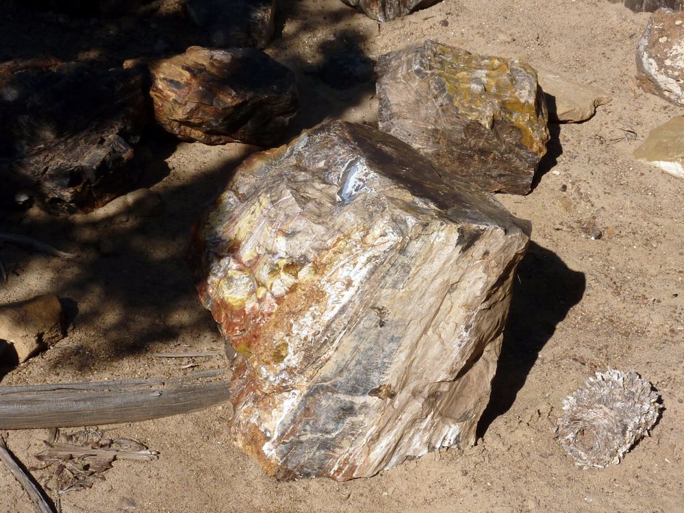 Escalante state park (4).JPG